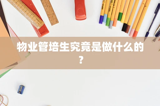 物业管培生究竟是做什么的？