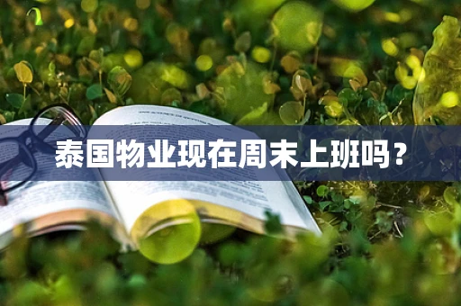 泰国物业现在周末上班吗？