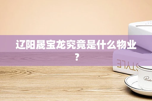 辽阳晟宝龙究竟是什么物业？