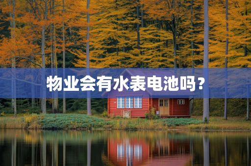物业会有水表电池吗？