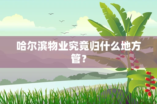 哈尔滨物业究竟归什么地方管？