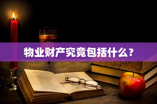 物业财产究竟包括什么？