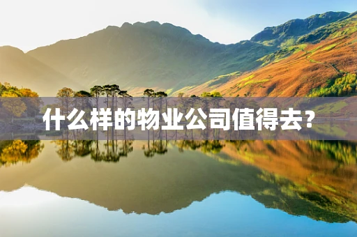 什么样的物业公司值得去？