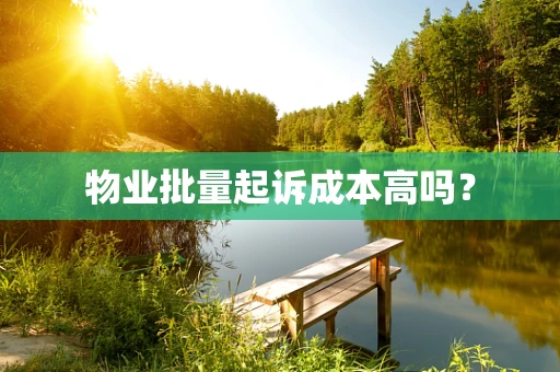 物业批量起诉成本高吗？