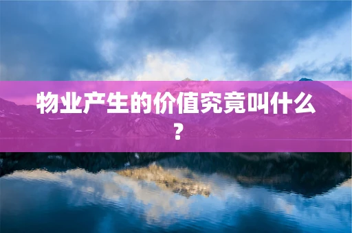 物业产生的价值究竟叫什么？