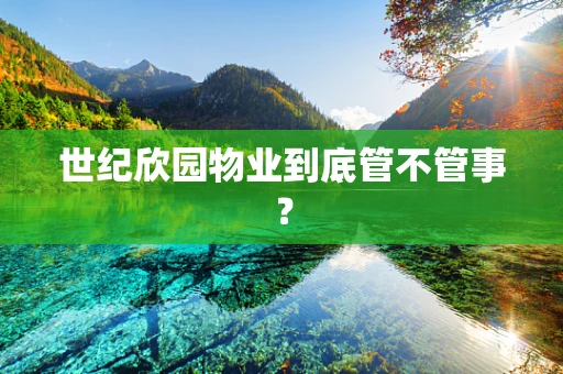 世纪欣园物业到底管不管事？