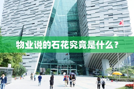 物业说的石花究竟是什么？