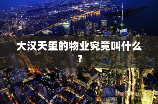 大汉天玺的物业究竟叫什么？