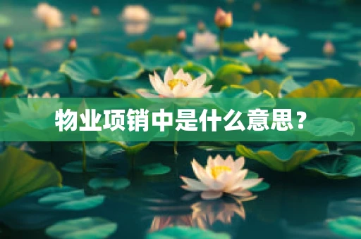 物业项销中是什么意思？