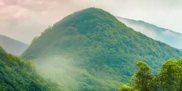 将军山物业现在收费吗？