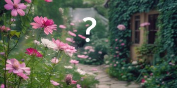 物业费真的会影响信用吗？