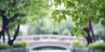雨润物业叫什么名字才好听呢？