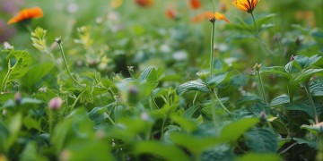 物业社团属于什么职位类别？