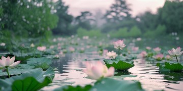 连江榕发悦荷郡究竟是什么物业？