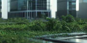 物业公司违建违法吗？