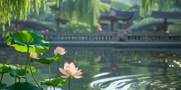 浙江物业有减免政策吗？