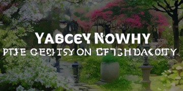 雅阁物业有最新消息了吗？