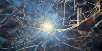 业委会真的可以审计物业吗？