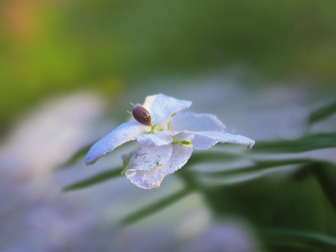 衢州保利物业现在招工吗？